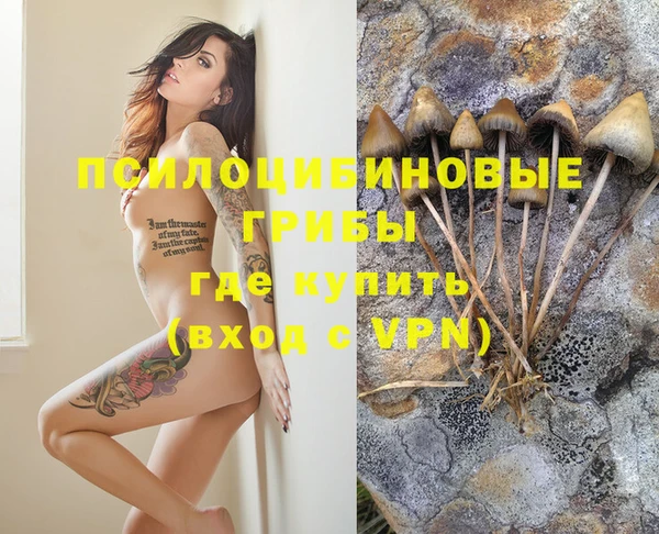 прущая мука Сосновоборск