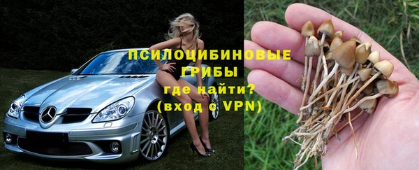 ешки Зарайск