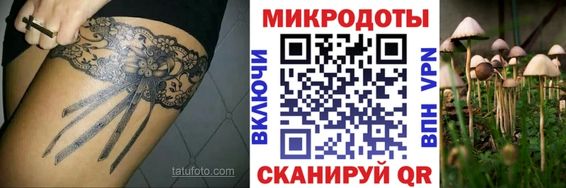 Псилоцибиновые грибы MAGIC MUSHROOMS продажа наркотиков Буинск